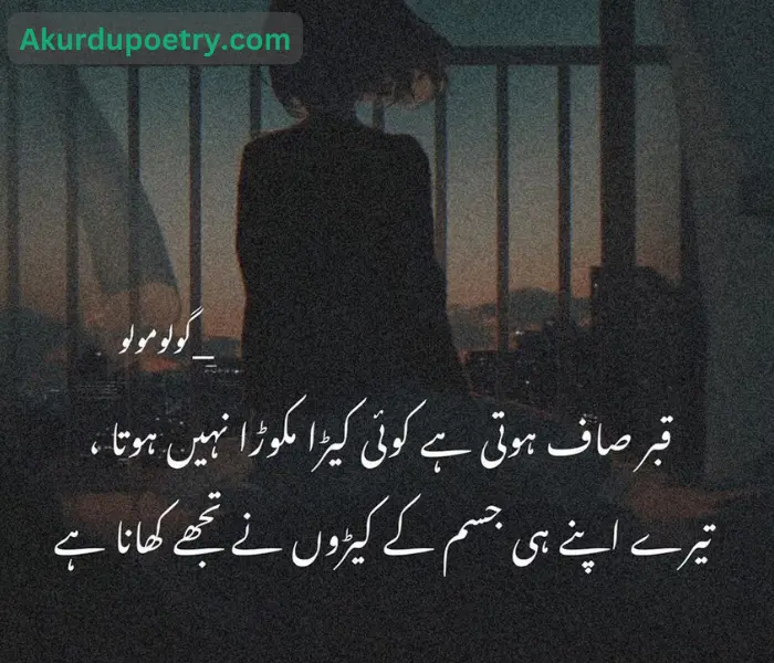 Best Qabar Poetry In Urdu 2 Lines Text | Heartbroken Poetry